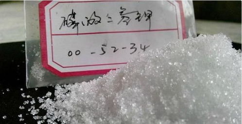 長壽花蟹爪蘭年年裝菜？今年澆透2種水，30天竄出圓潤花苞！